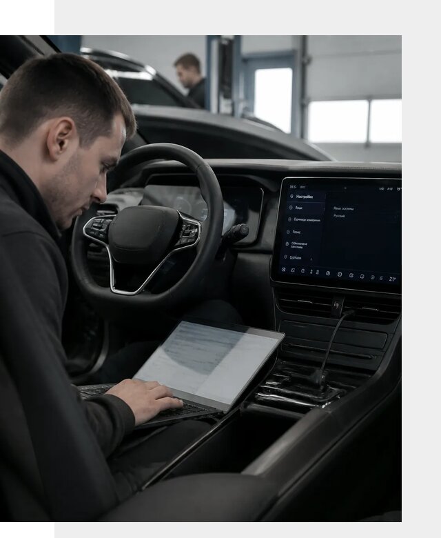 Русификация автомобилей BYD под ключ для всех моделей в Южном-Сахалинске